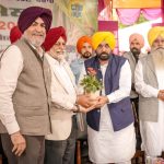 I have no share in buses, dhabas, sand or liquor, my only share is in people’s pain: CM Bhagwant Singh Mann