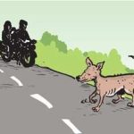 A man was reported to have died after his motorcycle collided with a stray animal near the well of Adda Bhode on the Talwara-Hajipur road.